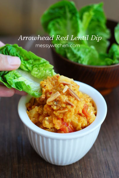 Arrowhead Red Lentil Dip